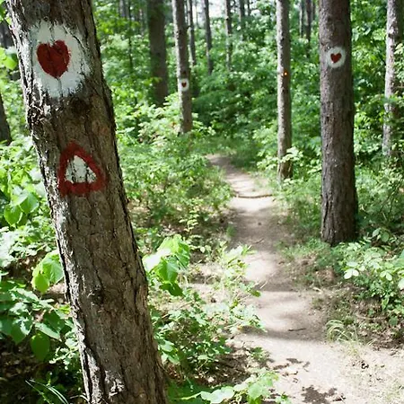 Jazacka Bajka Врдник